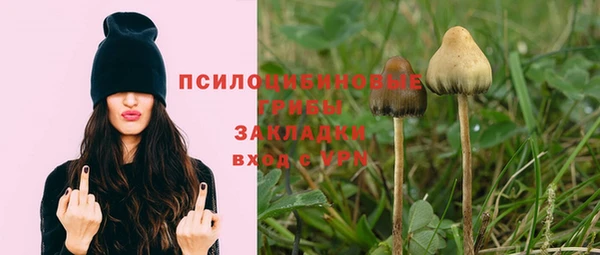 гидропоника Абдулино