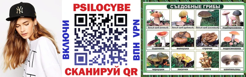 Галлюциногенные грибы Magic Shrooms  где купить наркоту  Ильский 